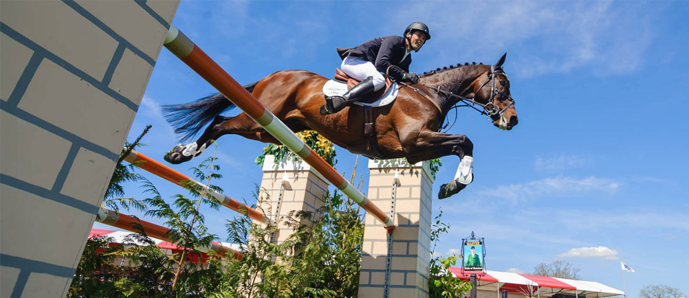 slider1 | Albury Wodonga Equestrian Centre